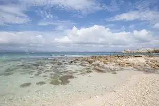 三亚蓝天大海,椰林暖阳,这个冬天,与你不见不散