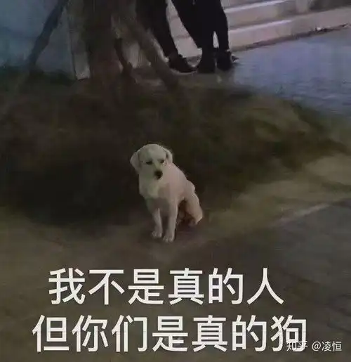 有哪些可以发动态的沙雕文案