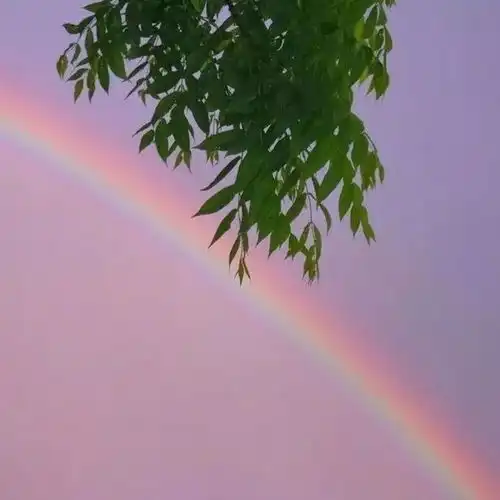 窗外