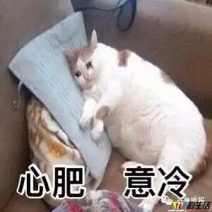 第一批80后已经37岁了中年人这个称呼,你能接受吗