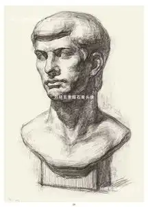 中国美术学院专业基础教学部教师刘晓东素描石膏头像挂图
