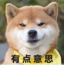 外媒尬聊狗年,刚说到属狗的年份就算不清了......谈起本命年犯太岁也是话风清奇
