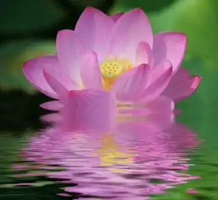 真正的朋友