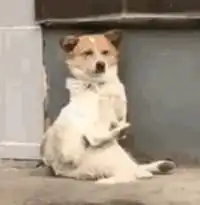 一群男人在一起都喜欢聊些什么