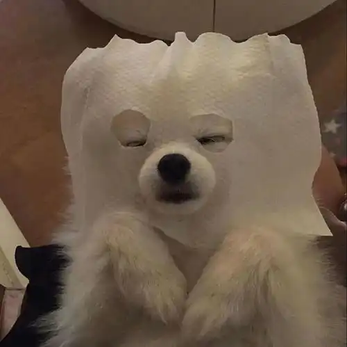 沙雕小头像喂喂喂回头看我