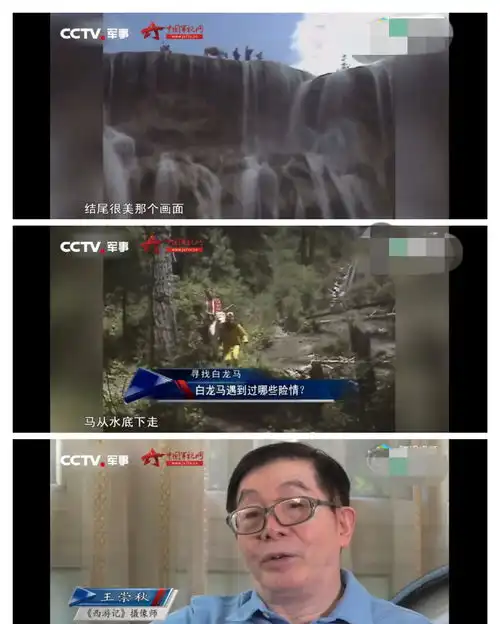 为什么白龙马会受尽欺凌,最后尸骨无存深扒其背后的隐秘