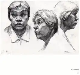 广美留校作品汇总,你想学的造型素描就在这里