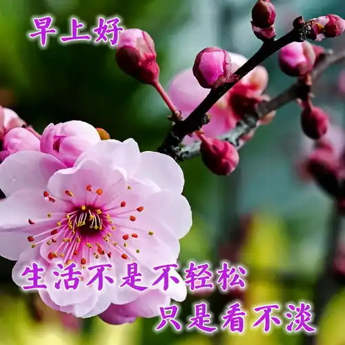 2021新年早上好祝福语图片大全,牛年新年祝福问候句子