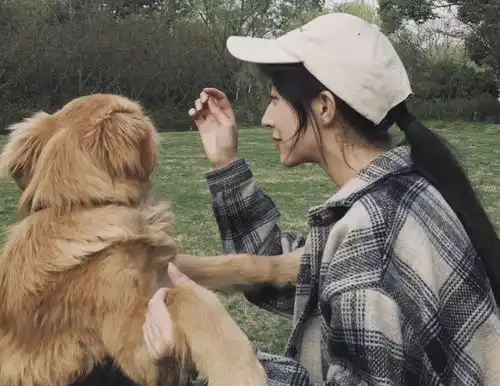 杭州妈妈遭狗主人殴打至骨折请做个人,别污了狗的名声