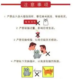 全球吸猫,国外云养猫游戏最贵猫咪卖出了10万多美元