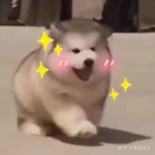 求推荐一些平价又好看的美瞳