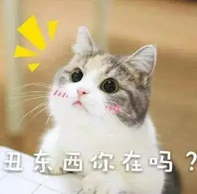 网上生活有一种丑叫做你爸妈嫌你头像丑