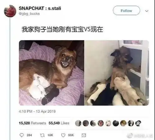 沙雕网友的朋友圈有多好笑你能忍住算我输,个个是人才