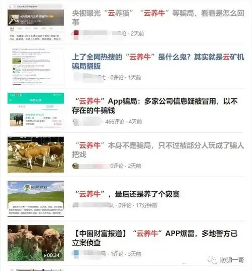 从云养猫到云养牛背后的财富泡影云骗局何以翻云覆雨
