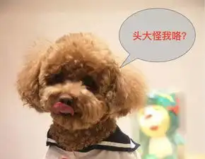 大牌驾到丨金莎在闻闻窝生活馆现场曝自家狗狗在汪界抬不起头