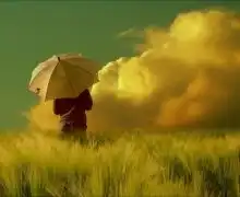求以枯黄色为背景的少女背影或侧影唯美意境手机壁纸图片