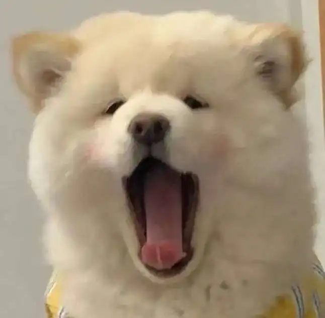 没想到这都能赚到
