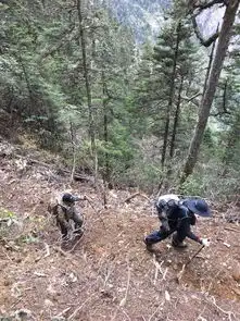徒步巴拉格宗之归去来
