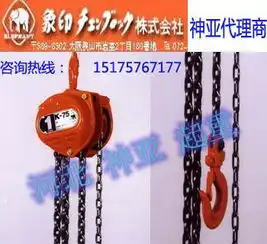 河北保定报价图片日本象牌大品牌大象电动葫芦神亚机械