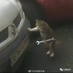 发朋友圈晒自己买的奢侈品...结果被前女友识破是假货...哈哈哈哈哈哈哈xsw