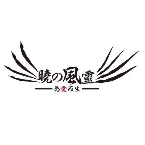 晓之风灵动漫社