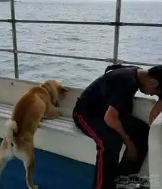 二次元与三次元的相遇惊讶不屑尴尬