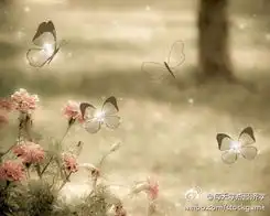 一个人的美丽,并不是容颜,而是所有经历过的来自slovea12在堆糖网的分享
