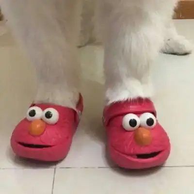 敲级沙雕的女生头像