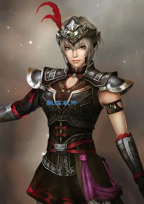 三国志13无双的607头像mod