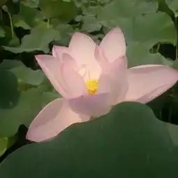 你已被群主移出群聊