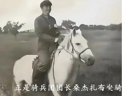 西游记白龙马晚年遭弃,杨洁导演痛心疾首我们欠它一个公道