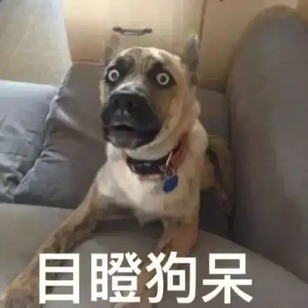 哎呀妈呀2980颗结石啊,都是从这个大妈右肾里掏出来的