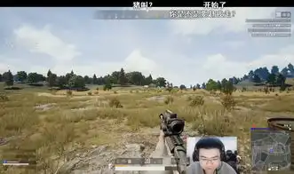 绝地求生韦神与蜜蜂仔直播疯狂玩梗,孤存可能真的走散了