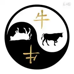 这几个生肖的女人注定最有福气