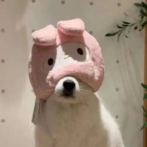 一眼就能触动你的文案