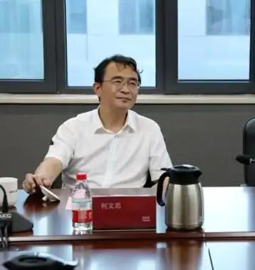 何文忠张孟星,被查