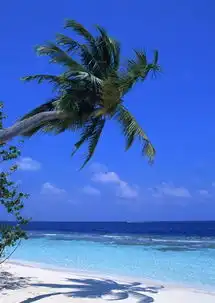 动车往返6月79日惠州巽寮湾帆船出海双月湾奥地利风情小镇3日游899元