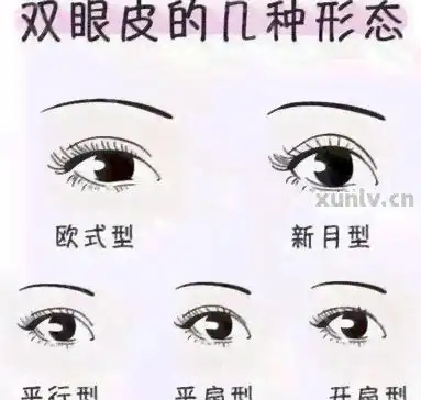 翡翠的双眼皮含义解析及图片展示
