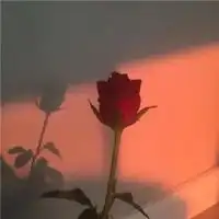 qq头像清新淡雅风景