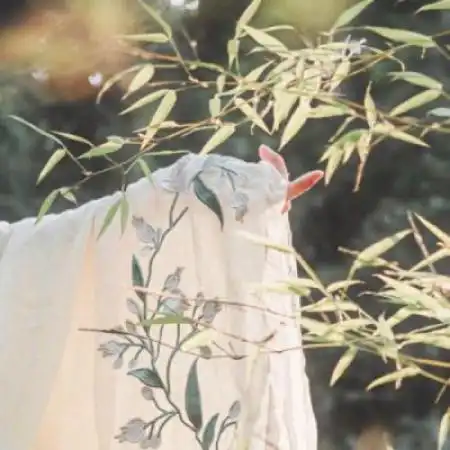 伤感手控头像