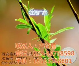 水杨甙,水杨甙性质,盛兴生物认证商家高清图片高清大图
