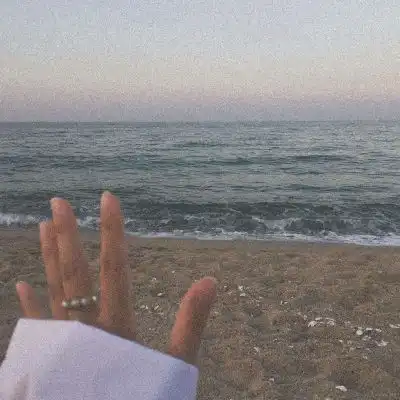 沈曦ins唯美意境手控背景图凋落风景静物头像我要个性网