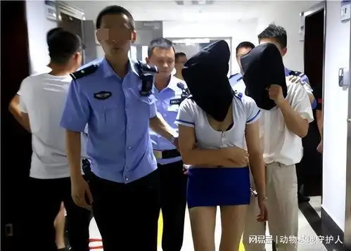 朝阳大妈再出力,助力警方捣毁不良场所
