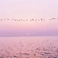 微信最吉利的好看头像有意境微信头像图片大全