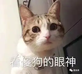 歆丝泉护肤扎心终于知道自己越长越丑的原因了