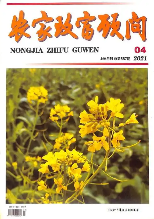 农家致富顾问2021年4月期封面图片领先的杂志订阅平台