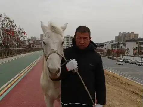 痛心救人的白龙马死亡,内蒙网友透露救命方法,依立拜回应了