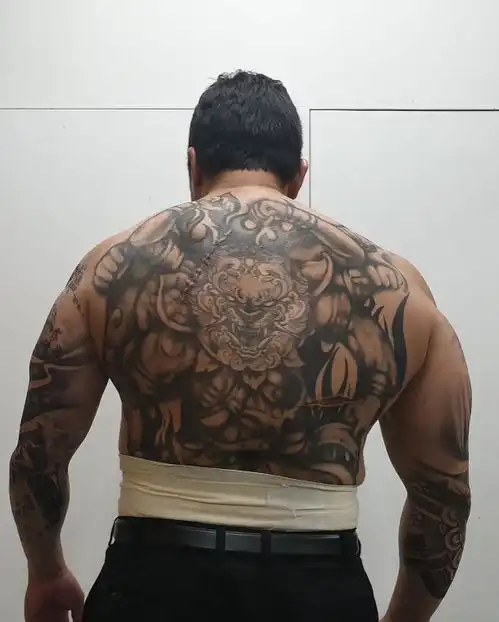 我的收藏