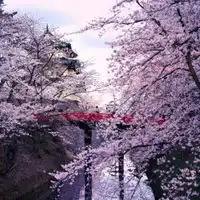 清爽的自然美,迷人的风景,唯美风景意境个性头像图片
