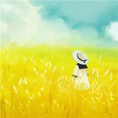 简单的头像干净清新,别样的雅致美感2